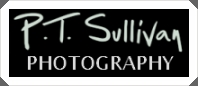 PT Sullivan Photography